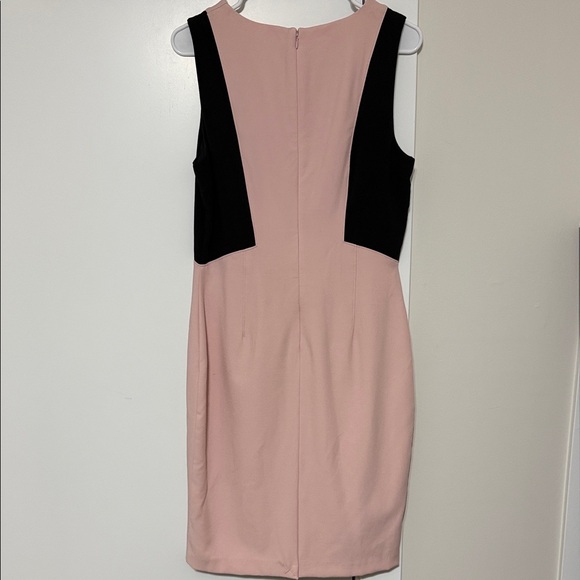 White House Black Market Blush and Black Dress - Picture 6 of 8